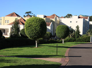 Balmain Cove