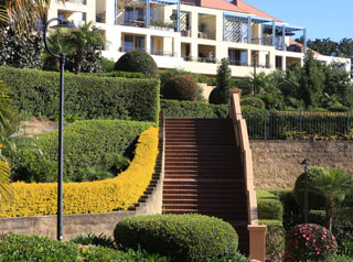 Balmain Cove